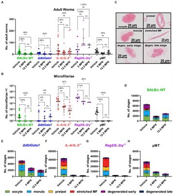 The efficacy of the benzimidazoles oxfendazole and flubendazole against Litomosoides sigmodontis is dependent on the adaptive and innate immune system